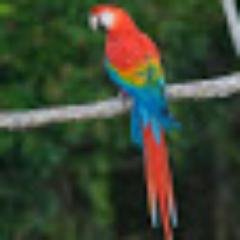 Profile Picture of Thomas Maiello (@maiello_thomas) on Twitter