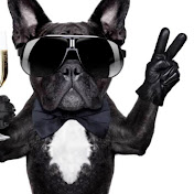 Profile Picture of Luke Bolger (@lukebolger3424) on Youtube