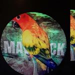 Kevinvaden - Instagram Profile Picture of Kevinvaden (@kevinmvaden702) on Instagram