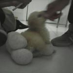 MARTINA - Instagram Profile Picture of MARTINA (@martina_molinatti) on Instagram