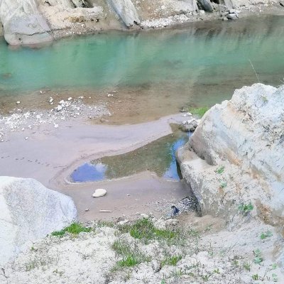 Profile Picture of Adrian Preda (@AdrianP36138682) on Twitter