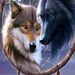 Profile Picture of Caleb Horton (@calebhorton1222013) on Pinterest