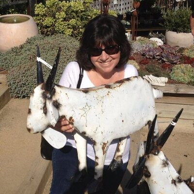 Profile Picture of Stacy Alexander (@StacyAlexander1) on Twitter