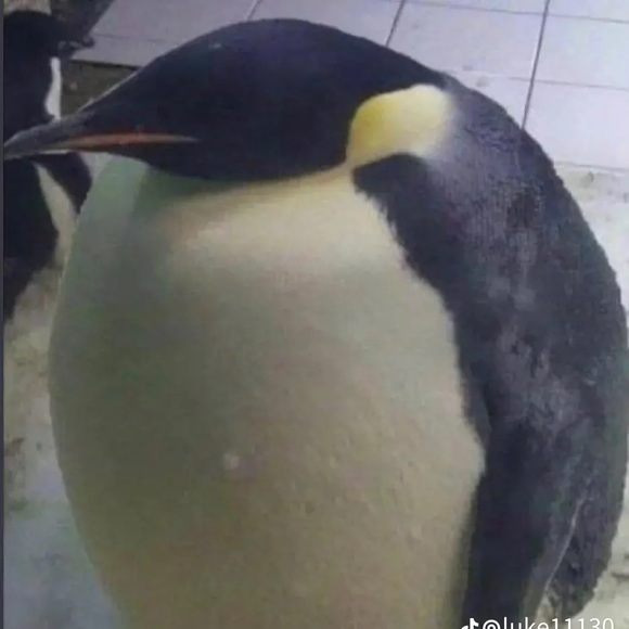 Profile Picture of Rave Manting (@xiaolingd3j) on Poshmark