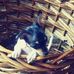 Profile Picture of Travis Moncrief (@travis.moncrief.1) on Facebook