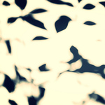 Profile Picture of Flor Usuki (@florusuki) on Flickr