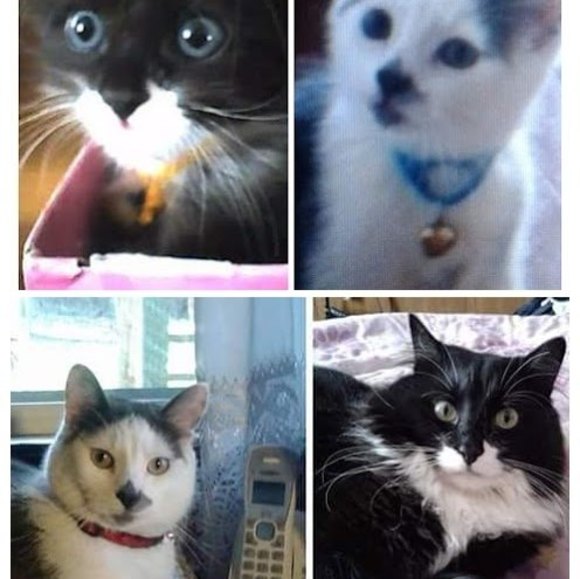 Profile Picture of Dorette Harris (@doretteharrisdh) on Poshmark