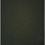 Profile Picture of Sheila Lawrence (@sheilalovesreagan0506) on Instagram