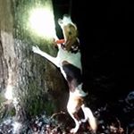 Profile Picture of Corey Hall (@corey.hall.9862273) on Instagram