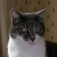 Profile Picture of Maureen Thorpe (@maureen-thorpe-6) on Quora