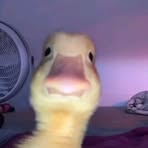 Profile Picture of Isaiah Moultrie (@Isaiah-Moultrie) on Facebook