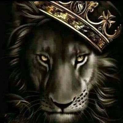 Profile Picture of Benny_da_butcher (@Miaminights88) on Twitter