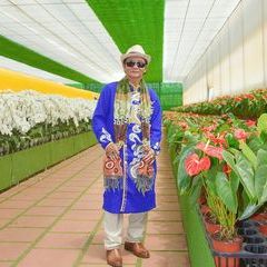Profile Picture of Dung Au (@dung.au86) on Tiktok
