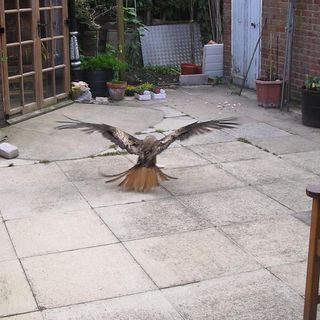 David John Nelder - Facebook Profile Picture of David John Nelder (@David-John-Nelder) on Facebook