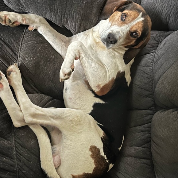 David Danford - Poshmark Profile Picture of David Danford (@david_danimal73) on Poshmark