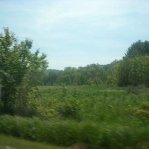 Profile Picture of Chris Szpara (@221483450) on Myspace