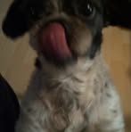 Profile Picture of Dexter Howard (@dexter.howard.574094) on Facebook