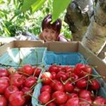 Profile Picture of Jade Chung (@bumbl3y) on Instagram