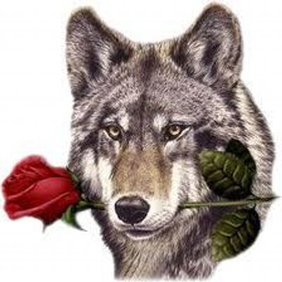 Profile Picture of @gabriel Becerril (@becerrildo) on Twitter