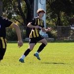 Profile Picture of Joe Romanelli (@jjoeromanelli) on Instagram