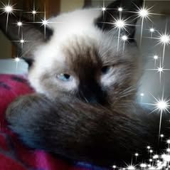 Profile Picture of Nancy Wilhite (@nancy.wilhite1) on Tiktok