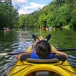 Robin Nofziger Holsopple - Instagram Profile Picture of Robin Nofziger Holsopple (@happy_go_lucky17) on Instagram