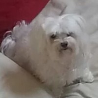 Profile Picture of Lili Blanco (@lili-blanco) on Quora