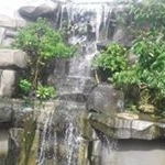 Profile Picture of Phan Thi My Dung (@mydung.phan.1238) on Instagram