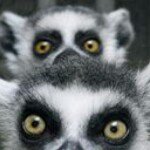 Michael McGranahan - Instagram Profile Picture of Michael McGranahan (@m.mcgranahan) on Instagram