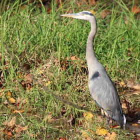 Profile Picture of Scott Kittredge (@shkfilmmaker) on Pinterest