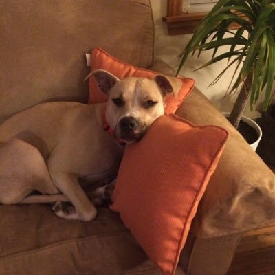 Profile Picture of Ray Chabot (@RaymondPaulCha1) on Twitter