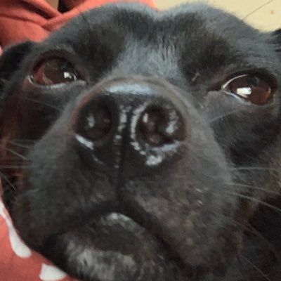 Profile Picture of Jacob Towery (@JacobTowery4) on Twitter