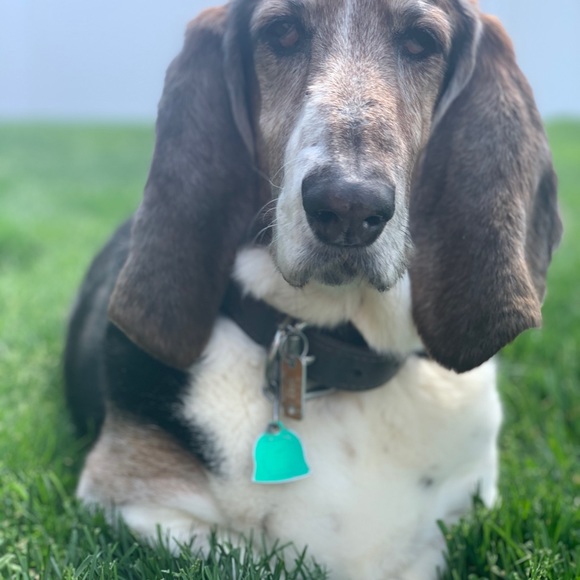 Landyn Liberatore - Poshmark Profile Picture of Landyn Liberatore (@jlewis4833) on Poshmark