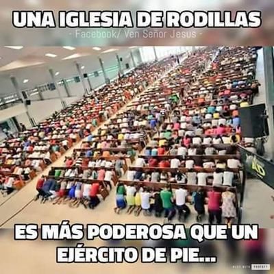 Profile Picture of Moises Solano (@MoisesS37874102) on Twitter