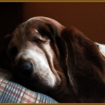 Profile Picture of Jeffrey Mallett (@jkm6535) on Twitter
