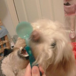 Profile Picture of Denny Foster (@ClinicalDenny) on Twitter