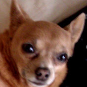 Profile Picture of Steven Parra (@stevenparra3120) on Youtube