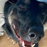 Profile Picture of Shawn H (@shawn-h-150) on Quora