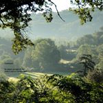 Profile Picture of Shiva Anoushirvani (@shivaanoushirvaniofficial) on Instagram