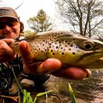 Profile Picture of Brandon Crouser (@medalist5x) on Instagram