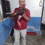 Profile Picture of Jonathan Salcedo (@jonathansalcedo84) on Instagram