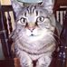 Profile Picture of Nancy Kuntz (@nancy.kuntz.90) on Facebook