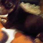 Profile Picture of Paula Longoria (@ajkvh) on Instagram