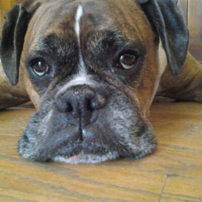 Profile Picture of Rhett Commodaro (@RhettC09) on Twitter