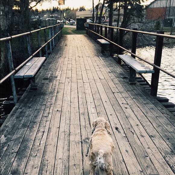 Profile Picture of Anna Weiberg (@annkaila) on Poshmark