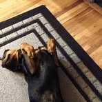 Alec Schwartz - Facebook Profile Picture of Alec Schwartz (@alec.schwartz.374) on Facebook