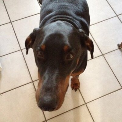 Profile Picture of Sean Lauer (@sean8204) on Twitter
