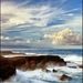 Profile Picture of david capel andujar (@capelandujar) on Pinterest