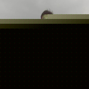 Profile Picture of Andy Mau (@andymau21853) on Myspace