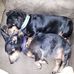 Profile Picture of Robert Frink (@bob.frink.737) on Facebook